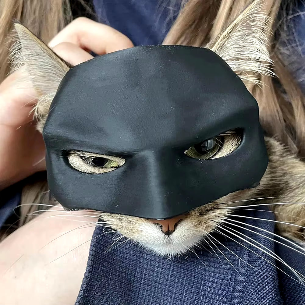 Cat Bat Cool Man Mask